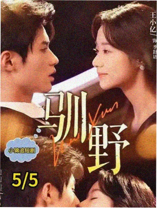策驰影视律政剧第七个证人